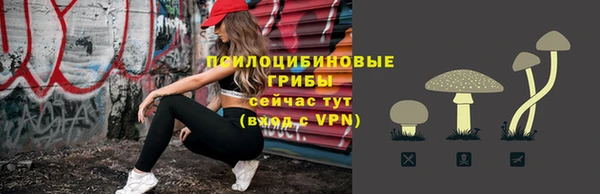 твердый Алексин