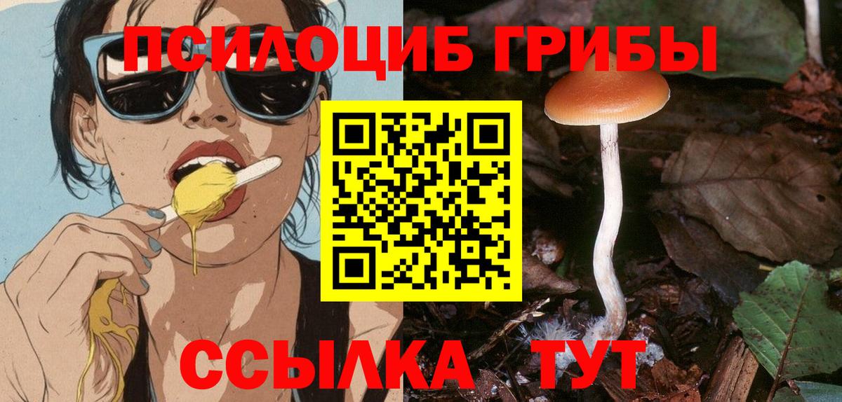 Псилоцибиновые грибы Psilocybe Апрелевка